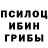 Галлюциногенные грибы прущие грибы Jonah Borgel