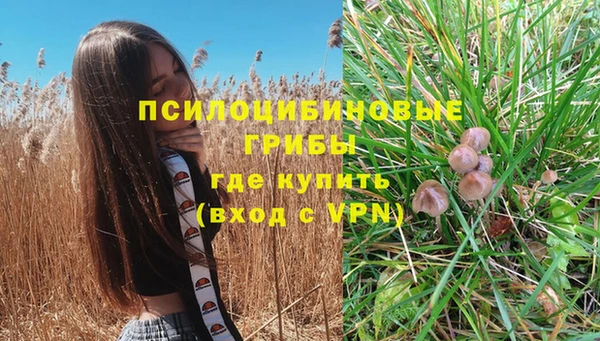 мескалин Богородск
