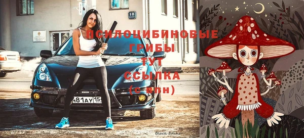 spice Беломорск