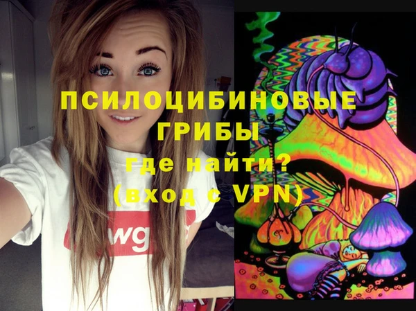 ALPHA PVP Богданович